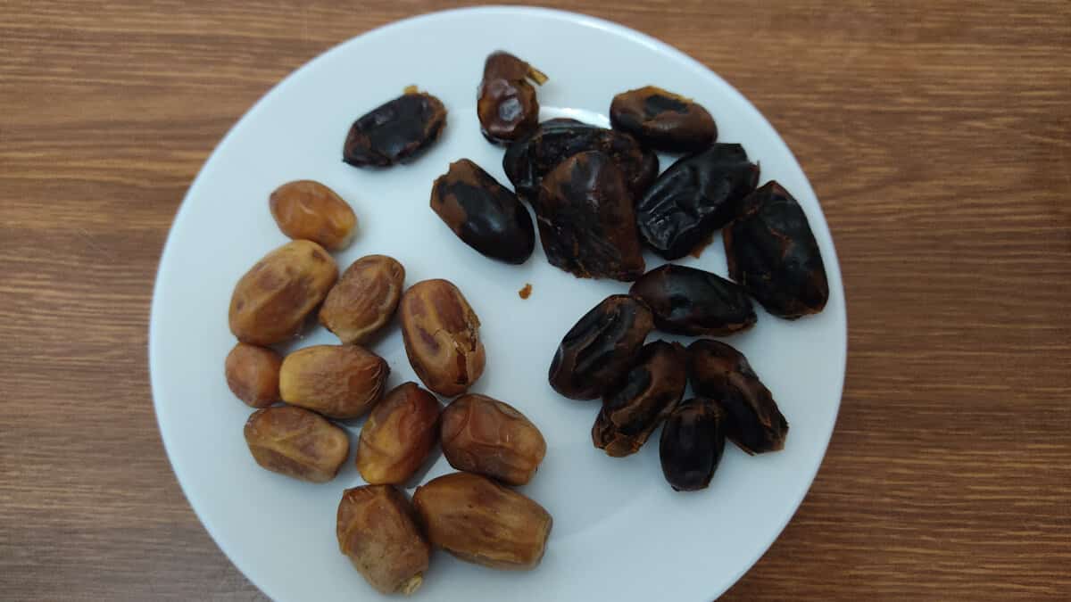 تصویر 4 از خرما مضافتی برنا بافت یکنواخت و طعم بی نظیر